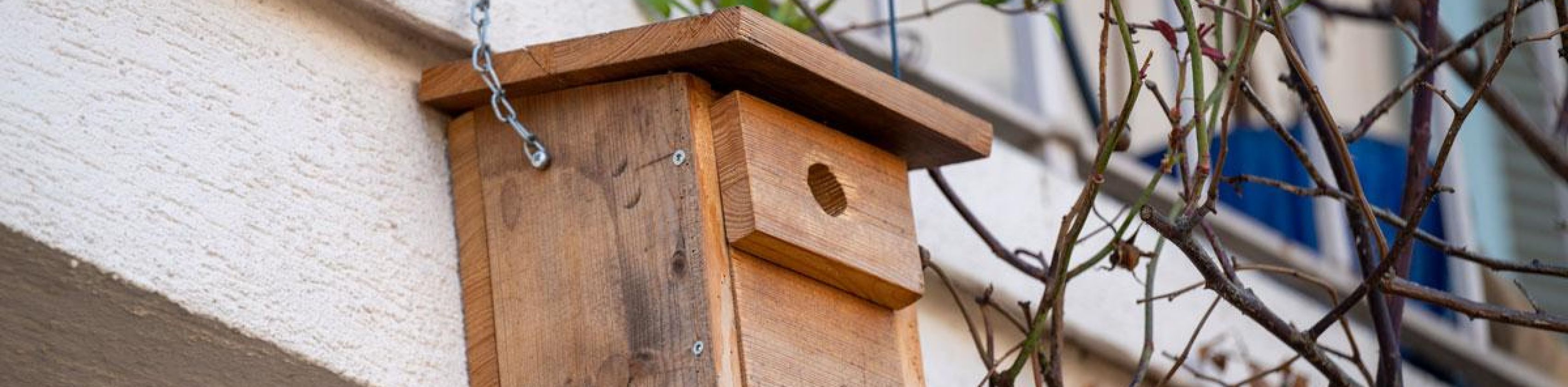 Foto: Seeger/Stadt Freiburg