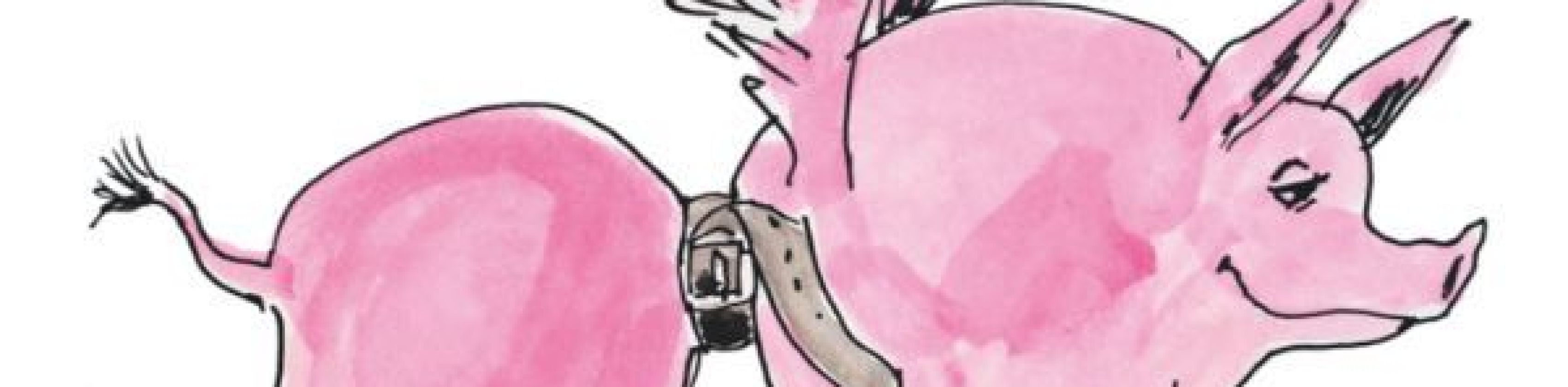 Tartüff oder Der Geistige - Komödie von John von Düffel - KOMBITICKET Stadtführung + Vorstellung verfügbar