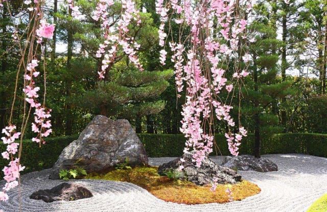 Awaken the creative power. Meditation seminar