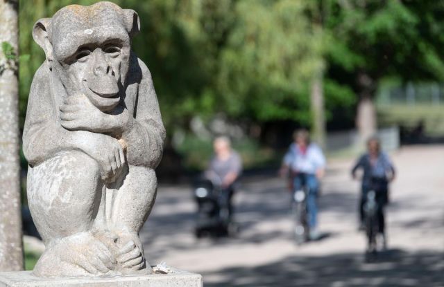 Foto: Seeger / Stadt Freiburg