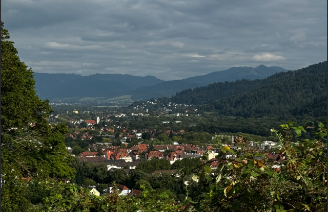 17km Actif - Tour de Freiburg Schlossberturm à Gundelfingen
