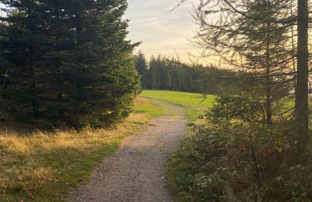 LE REGARD PORTE LOIN.....VOM HOHB&Uuml;HL