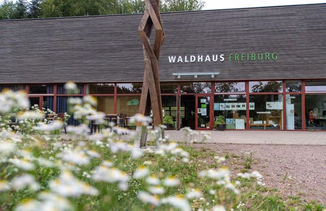 Alarmstufe grün! Wald-Parcours