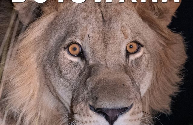 BOTSWANA - Paradis des animaux - riche en esp&egrave;ces, fascinant - Reportage en direct