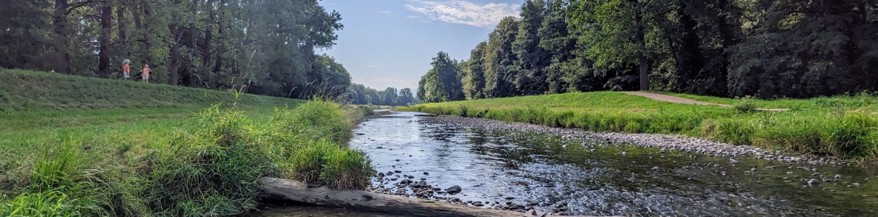 Dreisam bei March_FWTM-V&ouml;gtle, &copy; FWTM-V&ouml;gtle