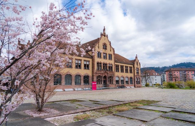 Freiburg-G&uuml;terbahnhof-Fr&uuml;hling-Copyright-FWTM-Antal (6)