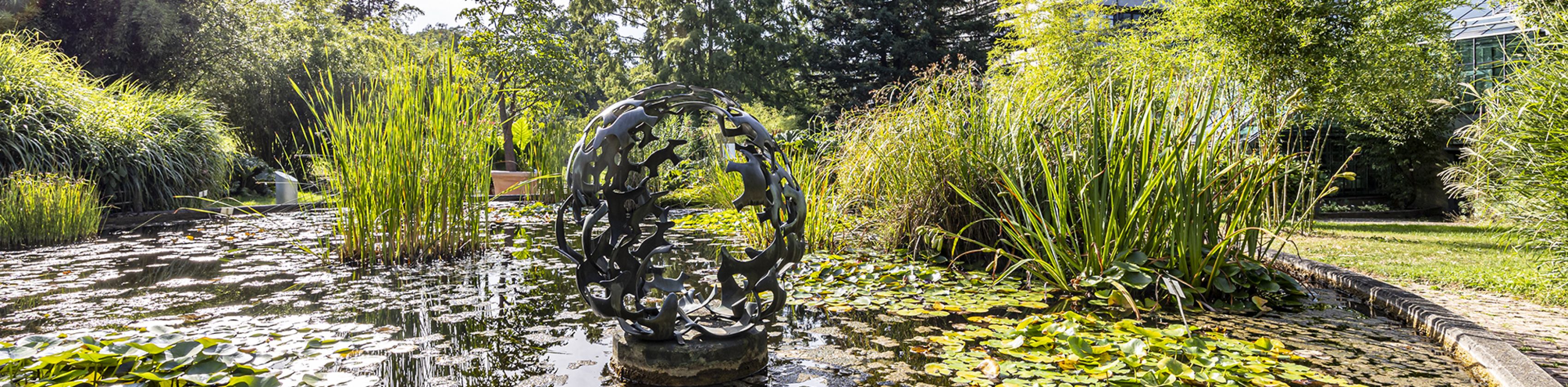 Botanischer-Garten-FWTM-Spiegelhalter.23, © FWTM-Spiegelhalter