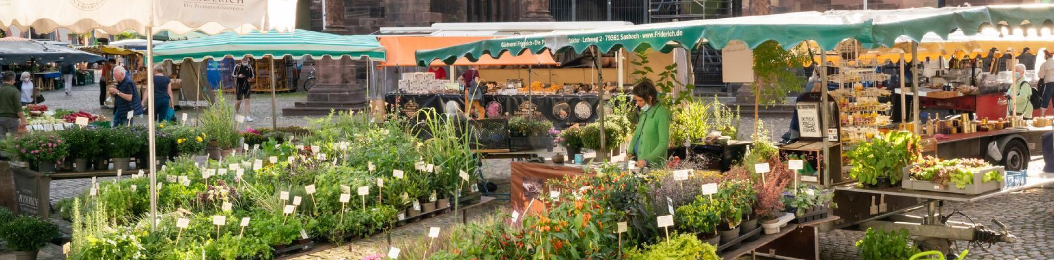 Sommer-Shooting-Copyright-FWTM-Bender (163)