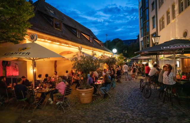 Blauer Fuchs_FWTM-Bender, © FWTM-Bender