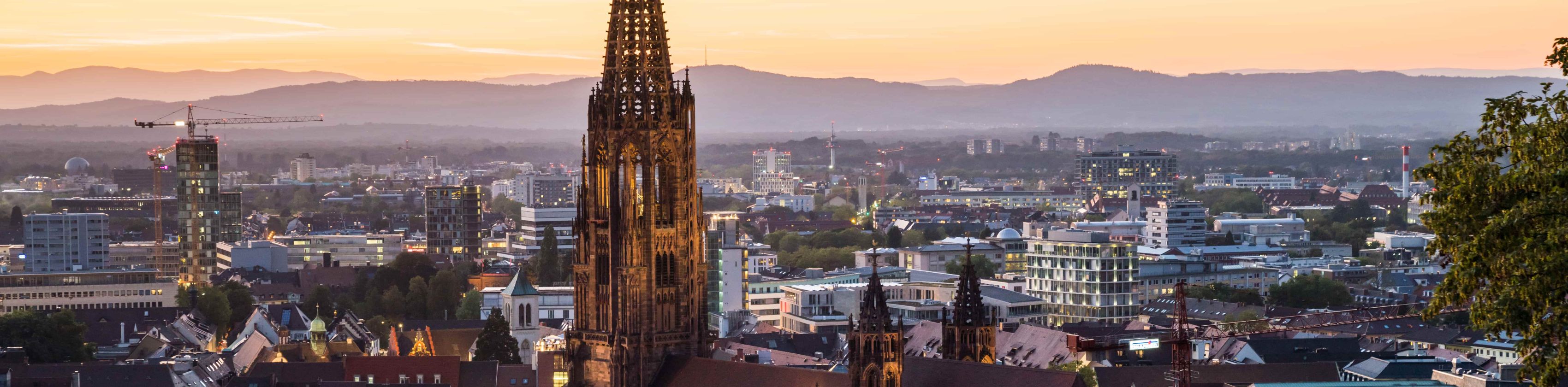 Freiburg_Münster_Copyright FWTM-Baschi Bender (13)-min, © FWTM-Baschi Bender