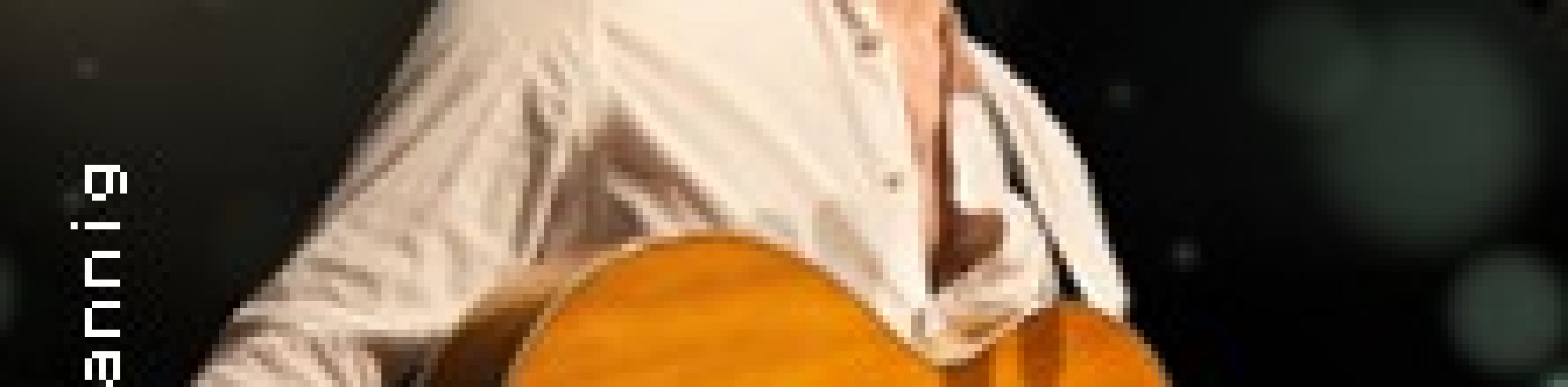 The Cat Stevens Tribute - Starring Patrick Snow