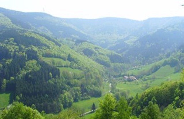 From Todtnauberg to the Feldberg