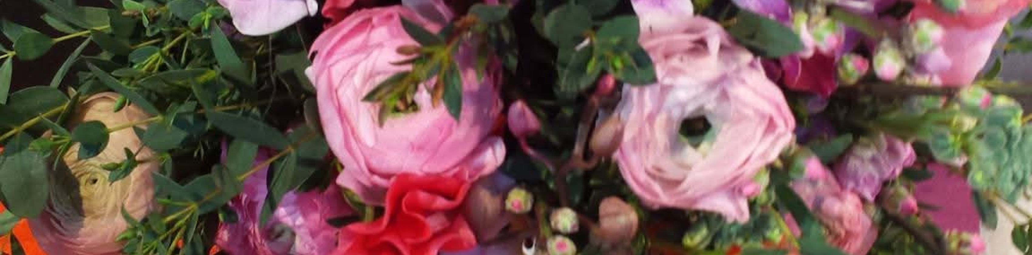 fb_img_1771739977510