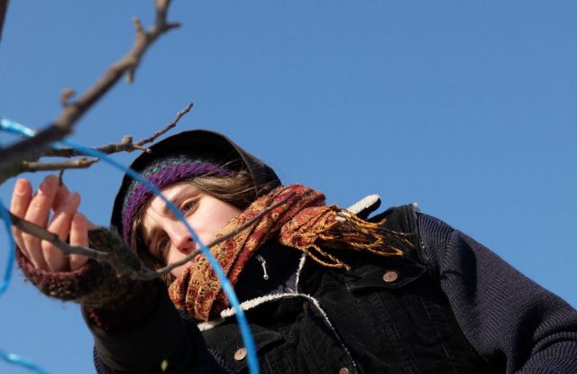 One-day seminar on pruning fruit trees in Freiburg/Schönberg with the School for Fruit Tree Care