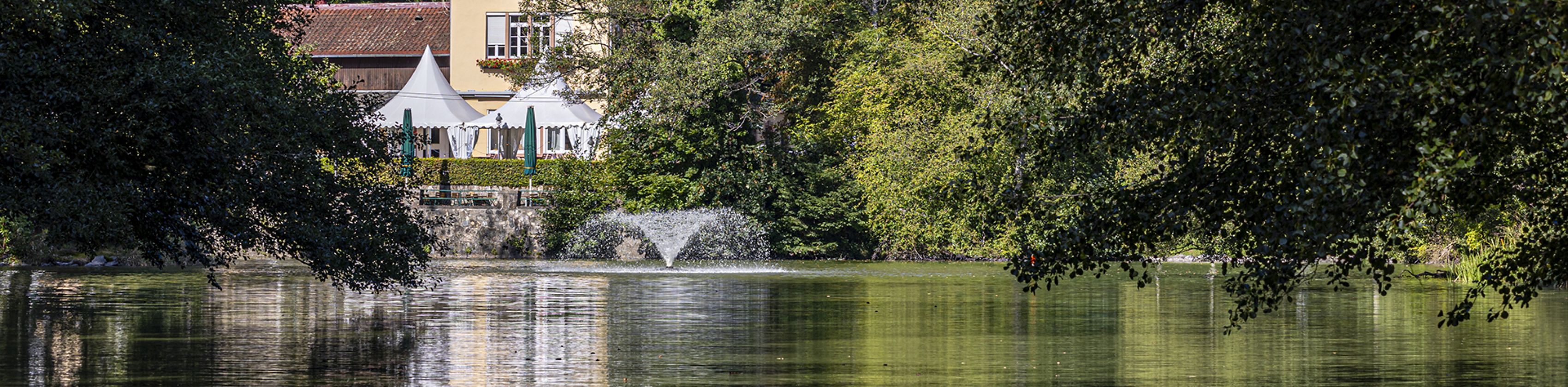 Waldsee-FWTM-Spiegelhalter.20