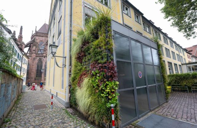 Fassadenbegrünung der Stadtbibliothek Freiburg, © Foto: Seeger/Stadt Freiburg