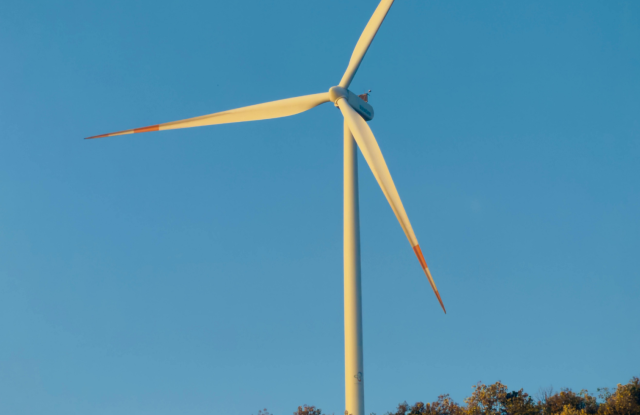 Is wind power worthwhile in the Black Forest?