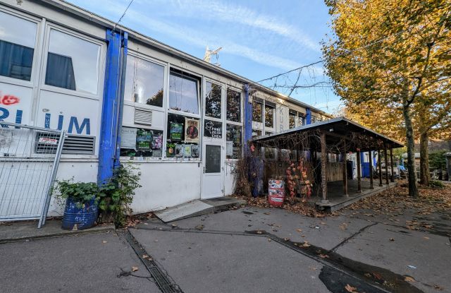 Artik-FWTM-V&ouml;gtle