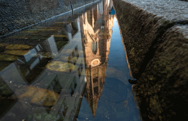 Foto: Seeger / Stadt Freiburg