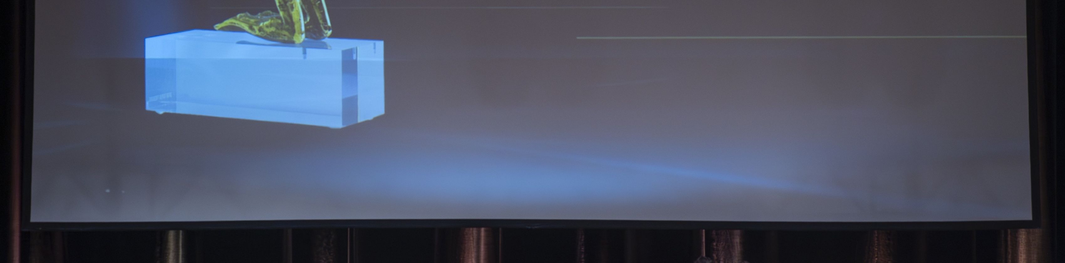 Galanacht des Sports - Show - Ehrung - Party