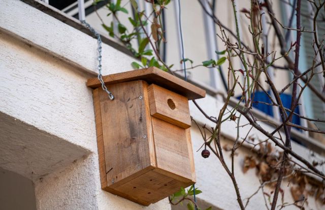 Nesting box control