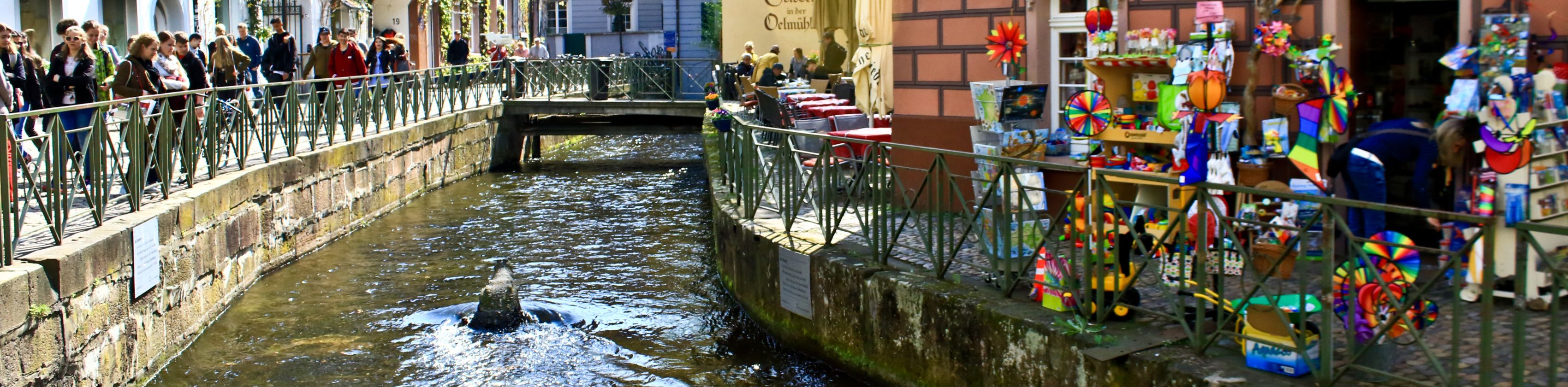 Freiburg-Obere-Altstadt-Copyright-FWTM-Cozort (2)