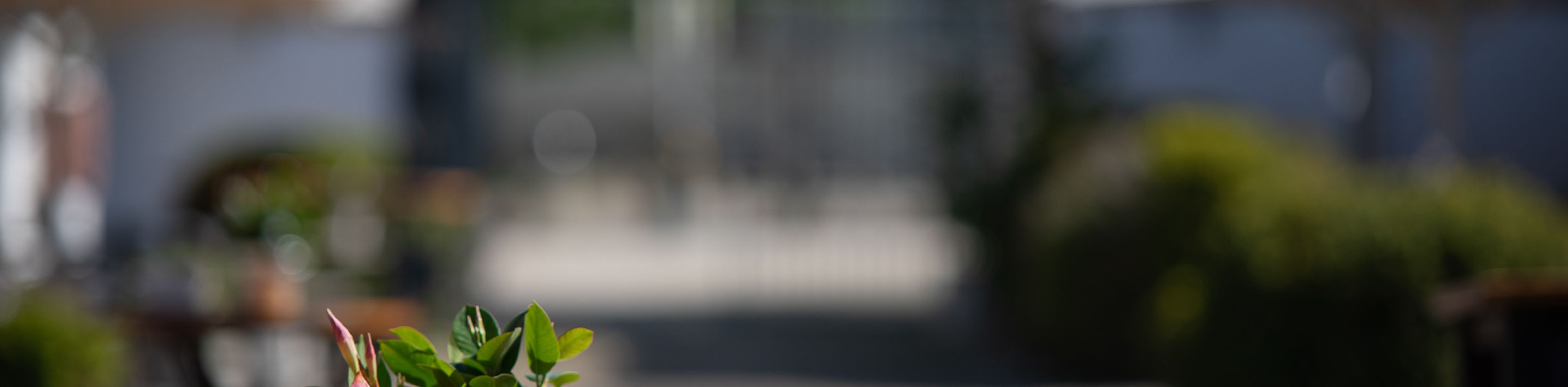 breakfast_004, &copy; Hotel Schloss Reinach