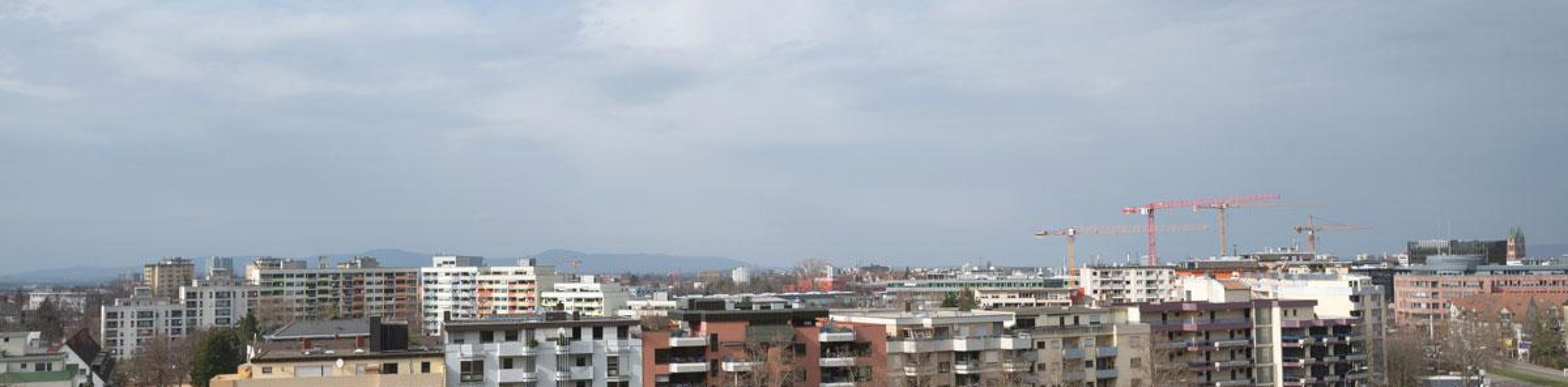 Foto: Seeger/Stadt Freiburg