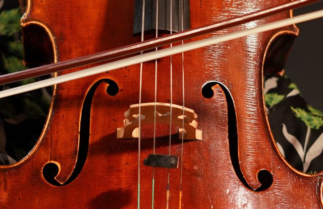 Music education with violoncello as main subject in concert