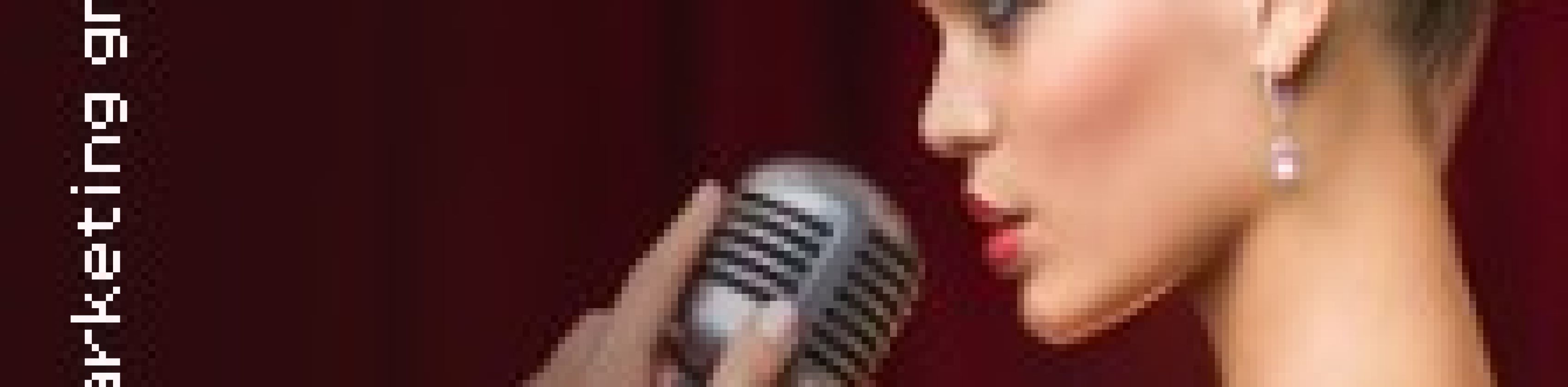 Das Musical Dinner - Kulinarischer Genuss und garantierte Unterhaltung