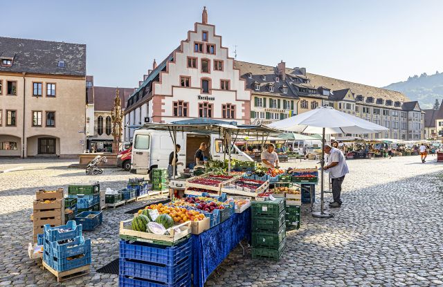 Münstermarkt-Freiburg-FWTM-Spiegelhalter.1, © FWTM-Spiegelhalter