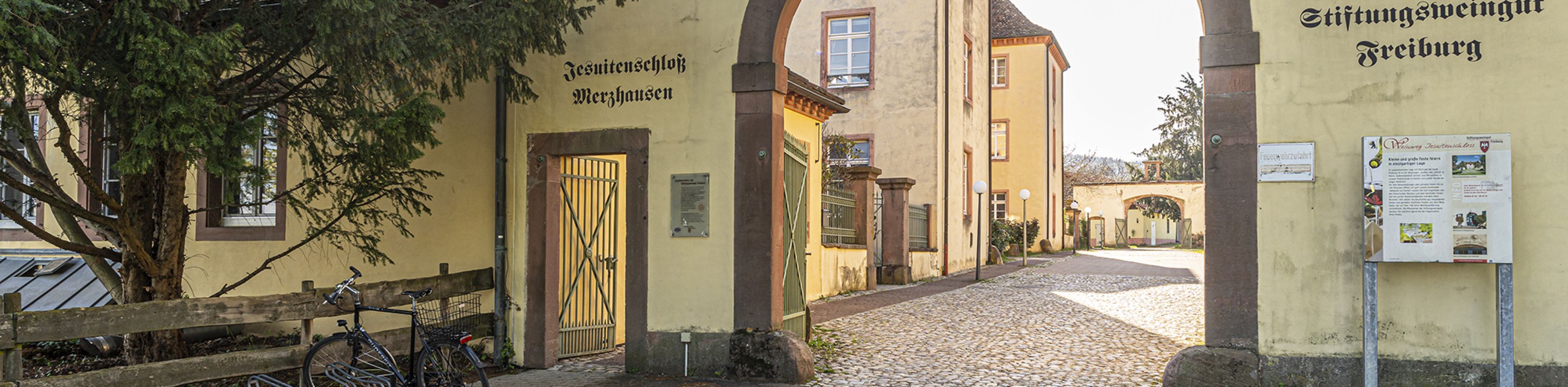 Jesuitenschloss-FWTM-Spiegelhalter.2