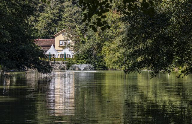 Waldsee-FWTM-Spiegelhalter.20