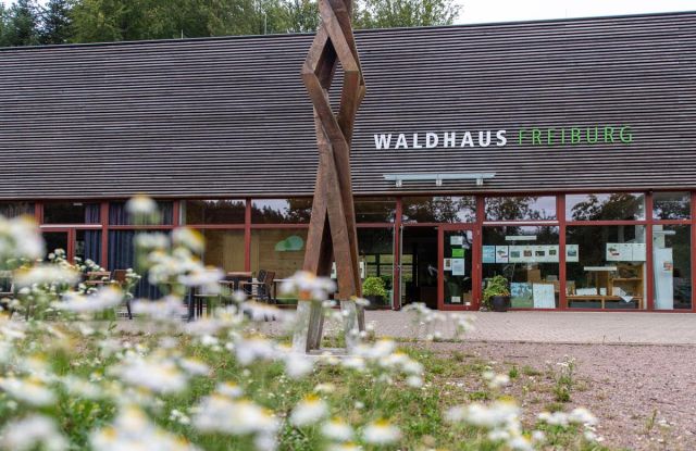 Foto: Seeger / Stadt Freiburg