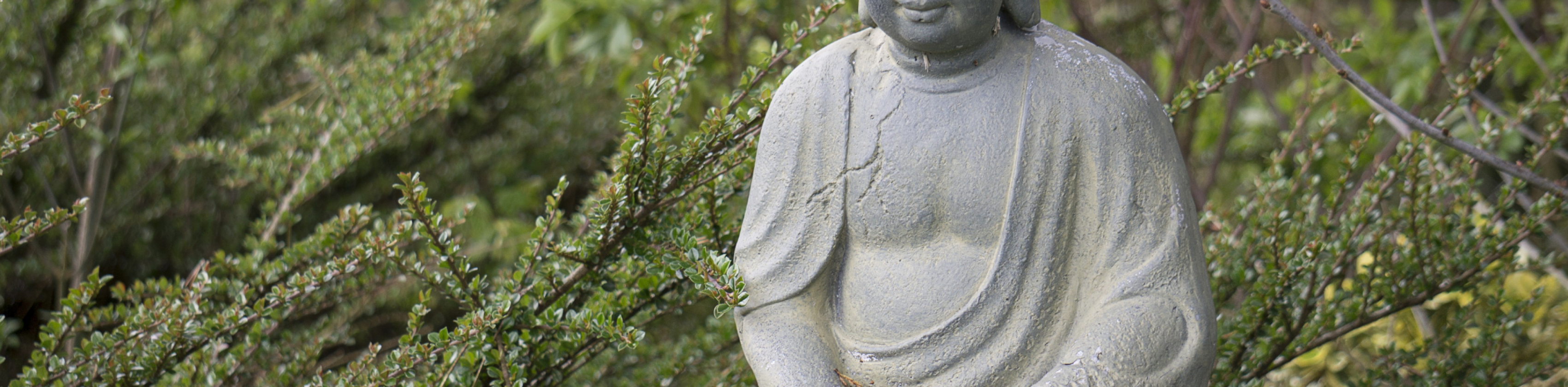 Der Geschmack des Zen im Waldhof, © Stock-Foto pixaby / Alexandra_Koch