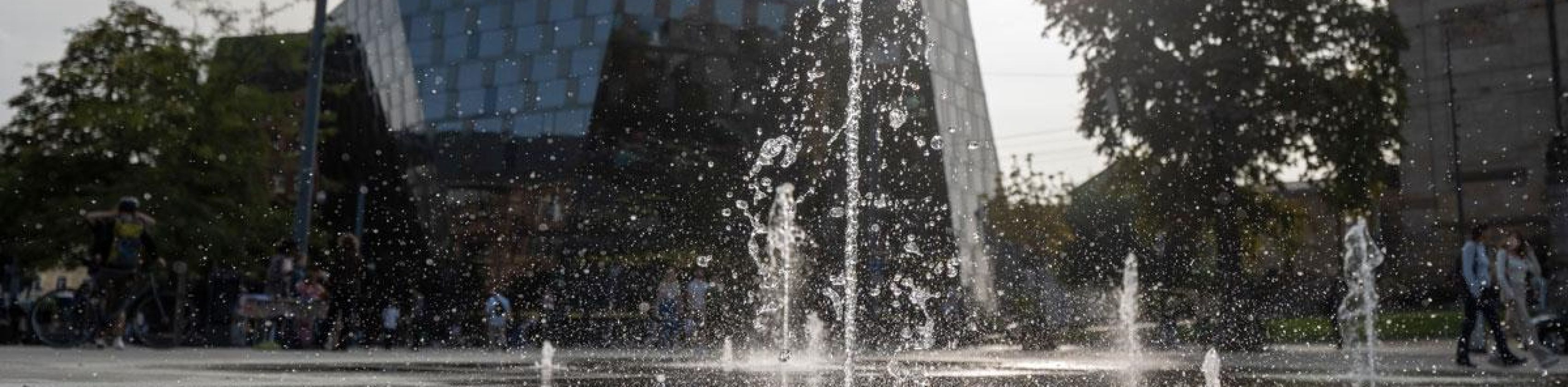 Tag des Wassers, © Foto: Patrick Seeger/Stadt Freiburg