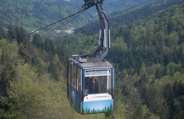 Foto: Seeger/Stadt Freiburg