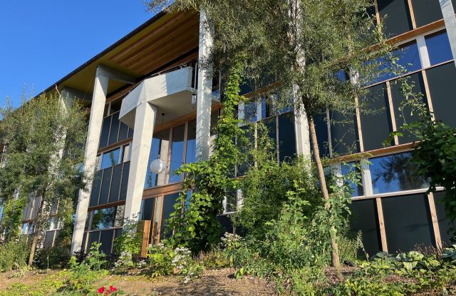 Zurich plus verte : programme de verdure urbaine & planification spécialisée de la nature en ville