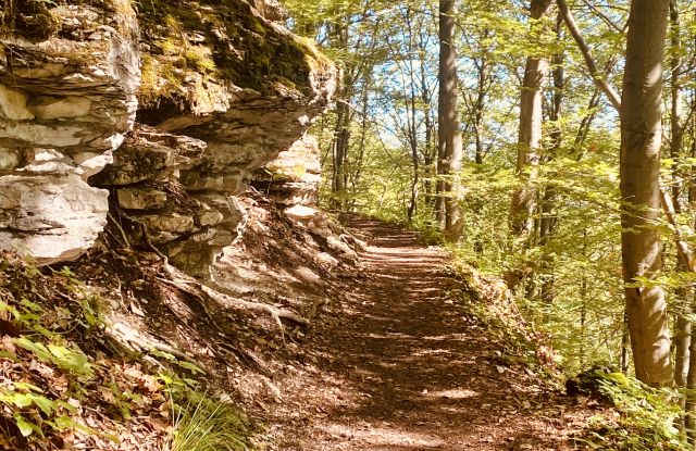 "Happy Trails" - hikes in English: