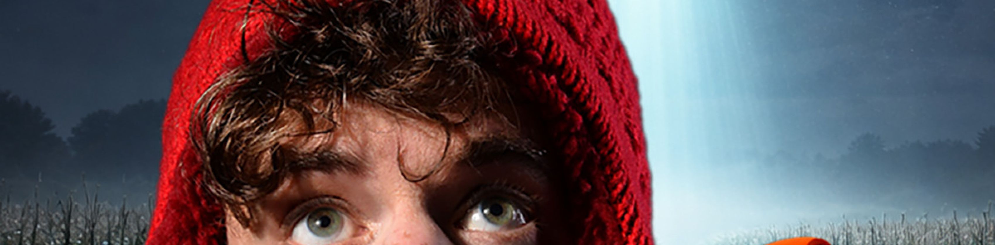 Mr. Tomato - von Manuel Kreitmeier