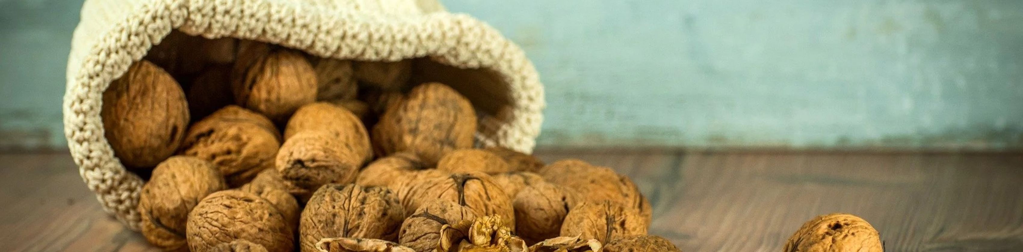 Bild, © Naturgarten Kaiserstuhl