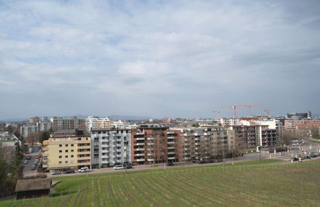 Foto: Seeger/Stadt Freiburg