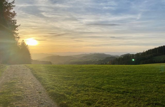 NATUR PUR1