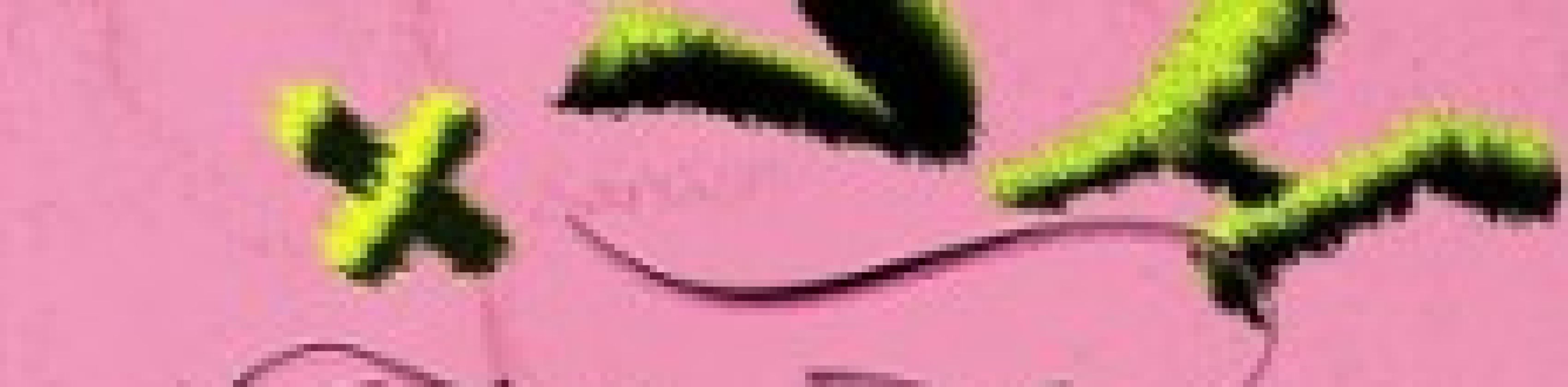 Crush x Feminist Takeover