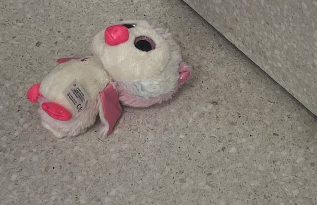 Review. On the death of species