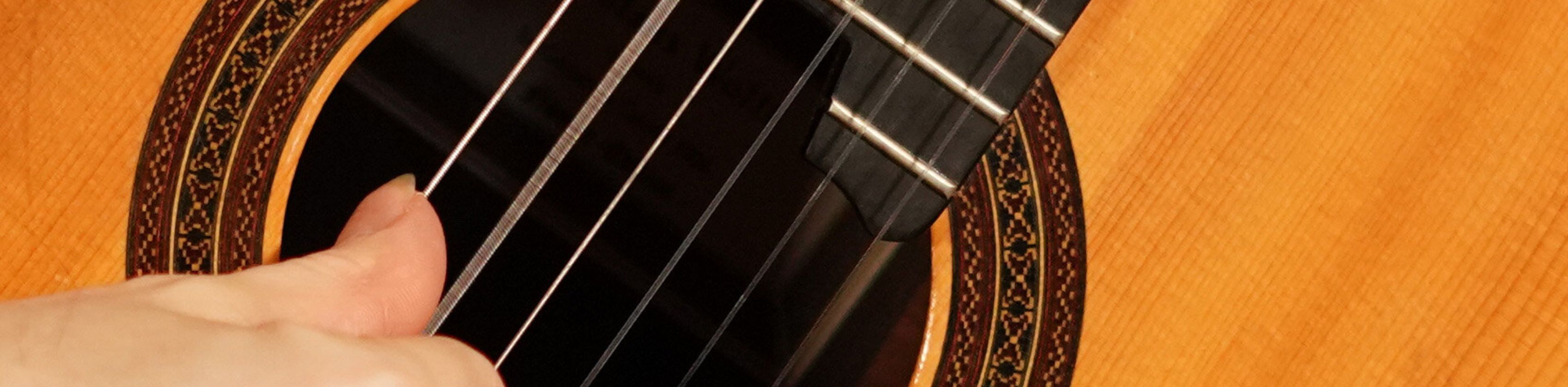 Musikpädagogik mit Hauptfach Gitarre im Konzert
