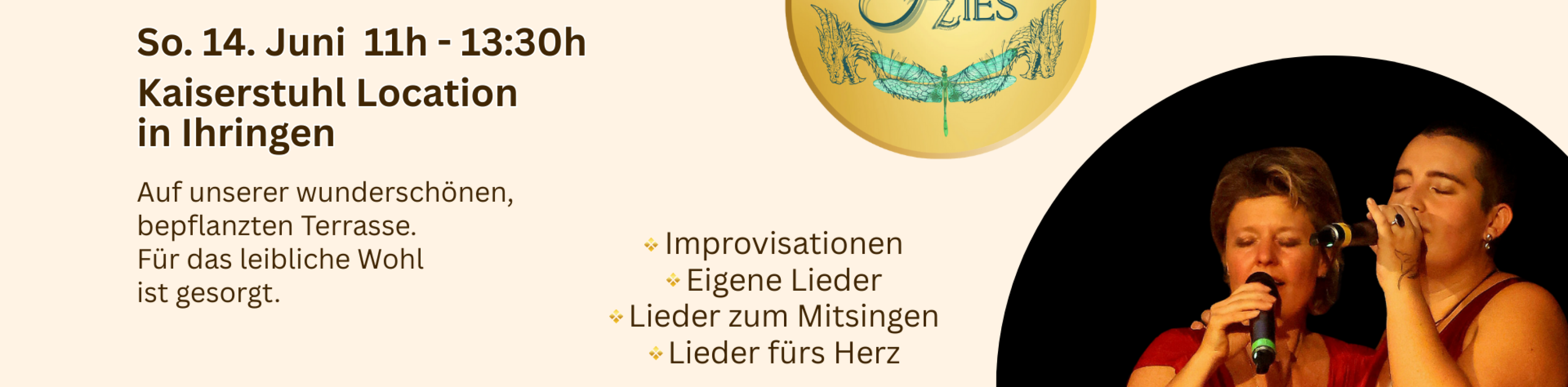 Dragon Flies fb(1920 x 1080 px)