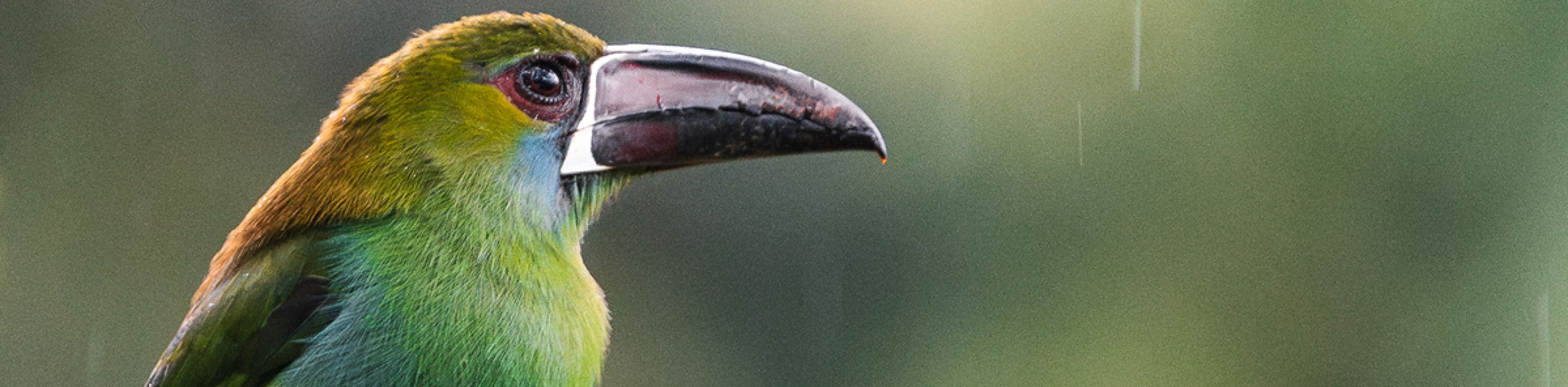 MUNDOLOGIA: Ecuador