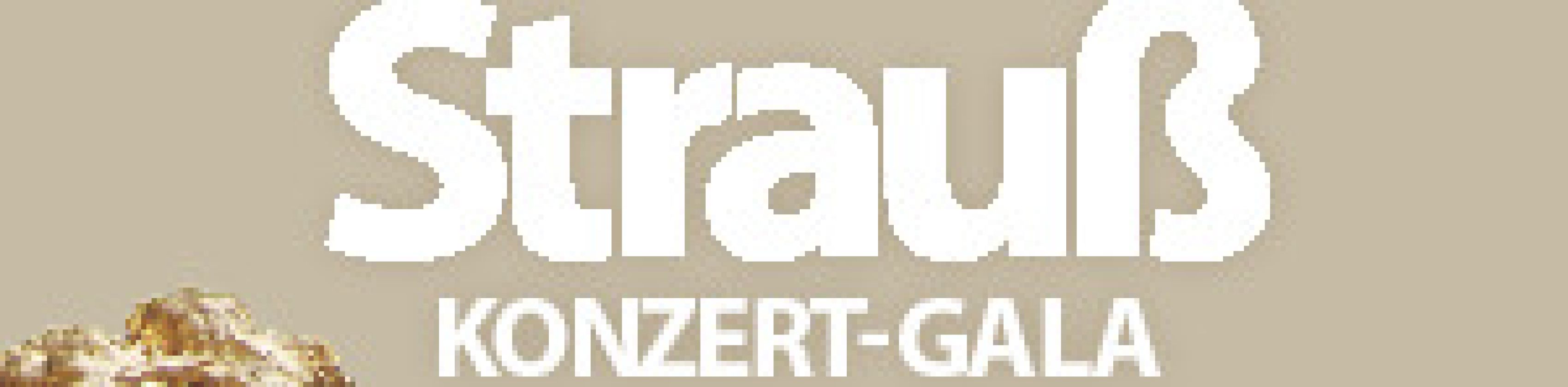 Wiener Johann Strauß Konzert-Gala - Kendlinger`s K&K Philharmoniker und Ballett