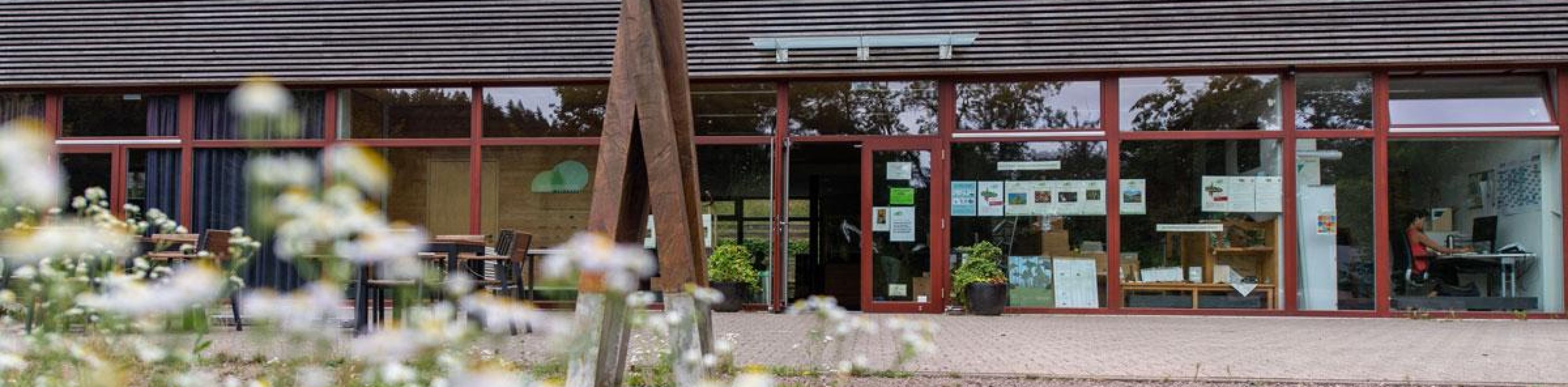 Das Stadtwaldarboretum Günterstal im Sommer
